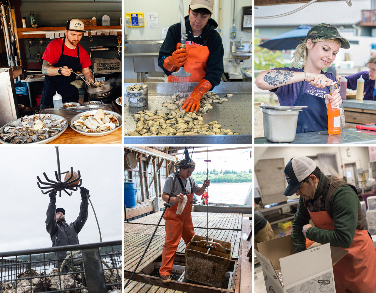 serving in the saloon, packing oysters, serving drinks, working on the barge, working in the flupsy, packing boxes for shipping