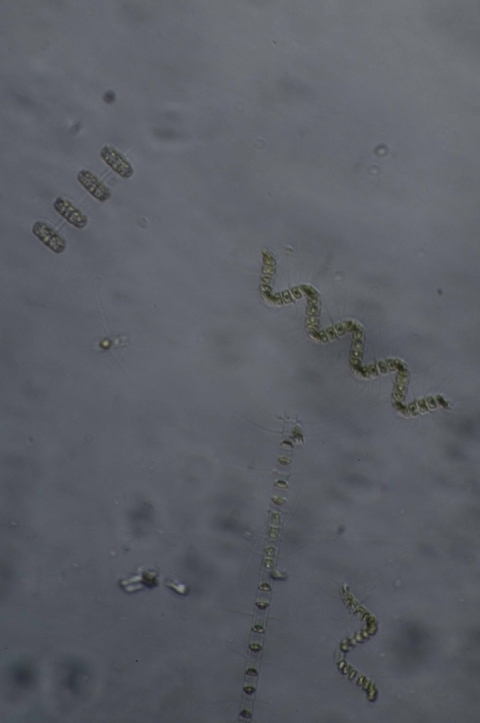 dsc_3793-edit1 dsc_3793-edit1