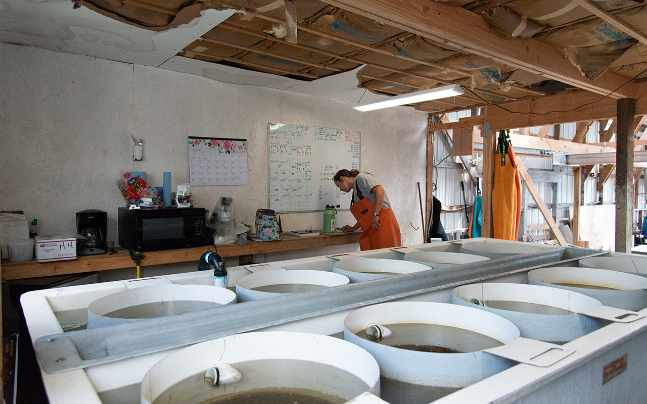 inside the boat house at the oyster nursery
