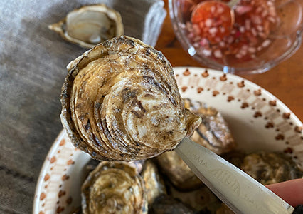 shucking knife in an oyster
