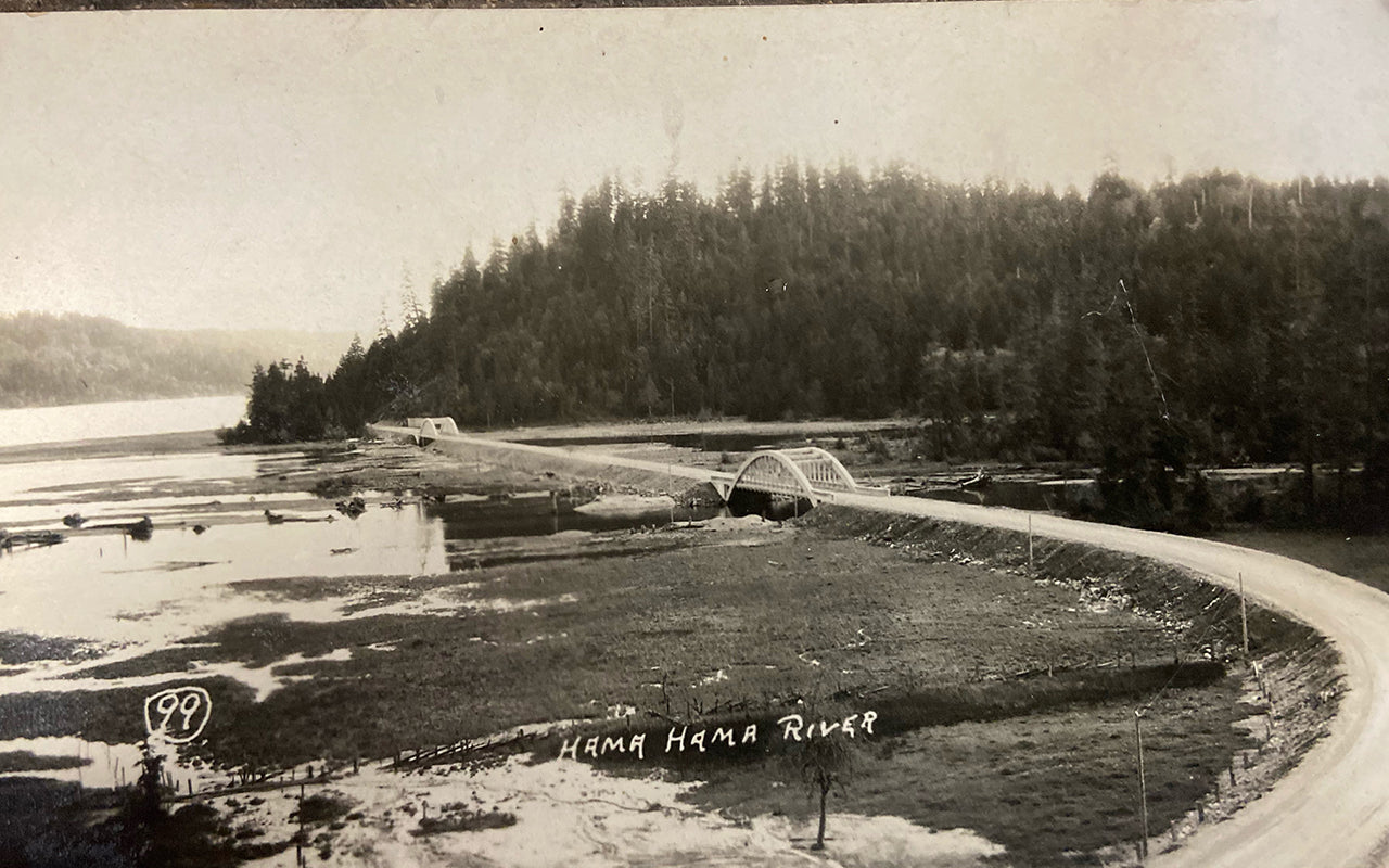 historical look at the bridges over the Hamma Hamma River