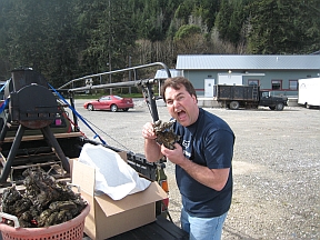 open-farm-1 open-farm-1