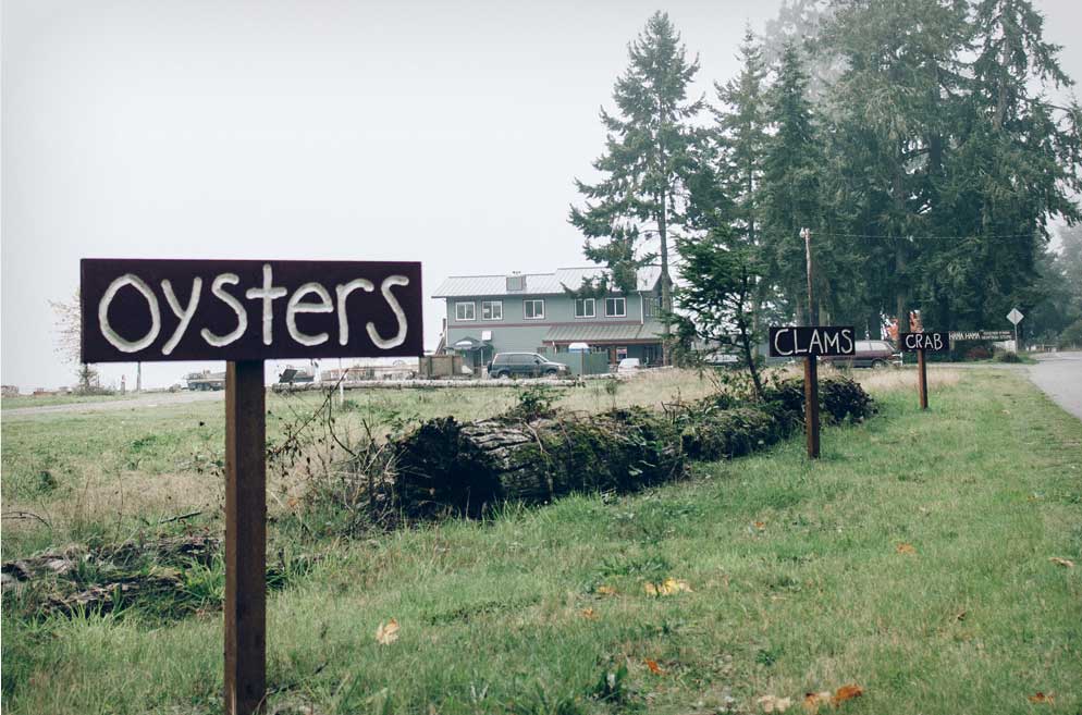 signs on the way to Hama Hama