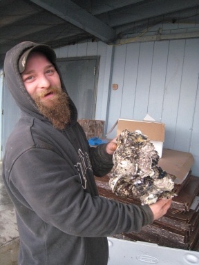 oysterbake1 oysterbake1