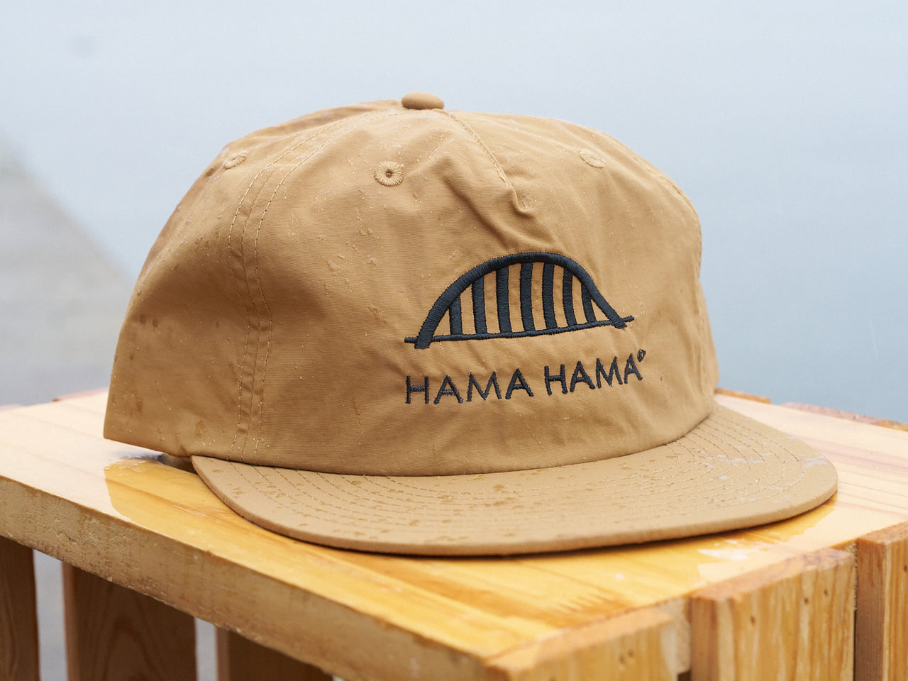 Bridge Logo Surf Cap