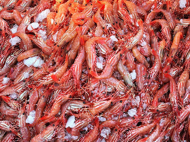 Hood Canal Spot Prawns - Frozen 1/2 Lb Tails