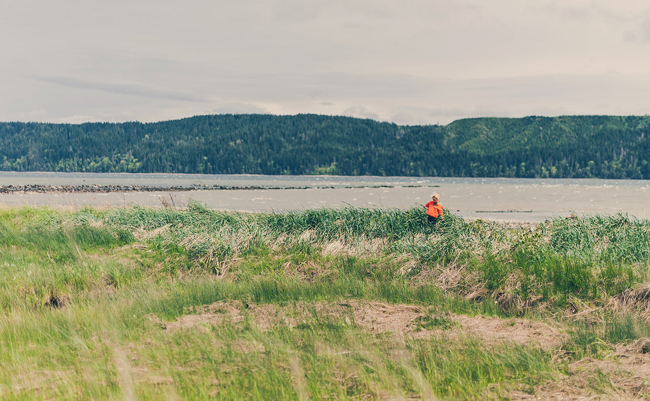 Spring at Hama Hama Farm by Jenn Repp