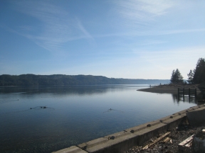 sunnyspring sunnyspring