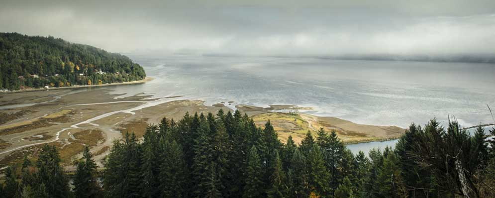 overhead view of the Hamma Hamma river meeting the Hood Canal