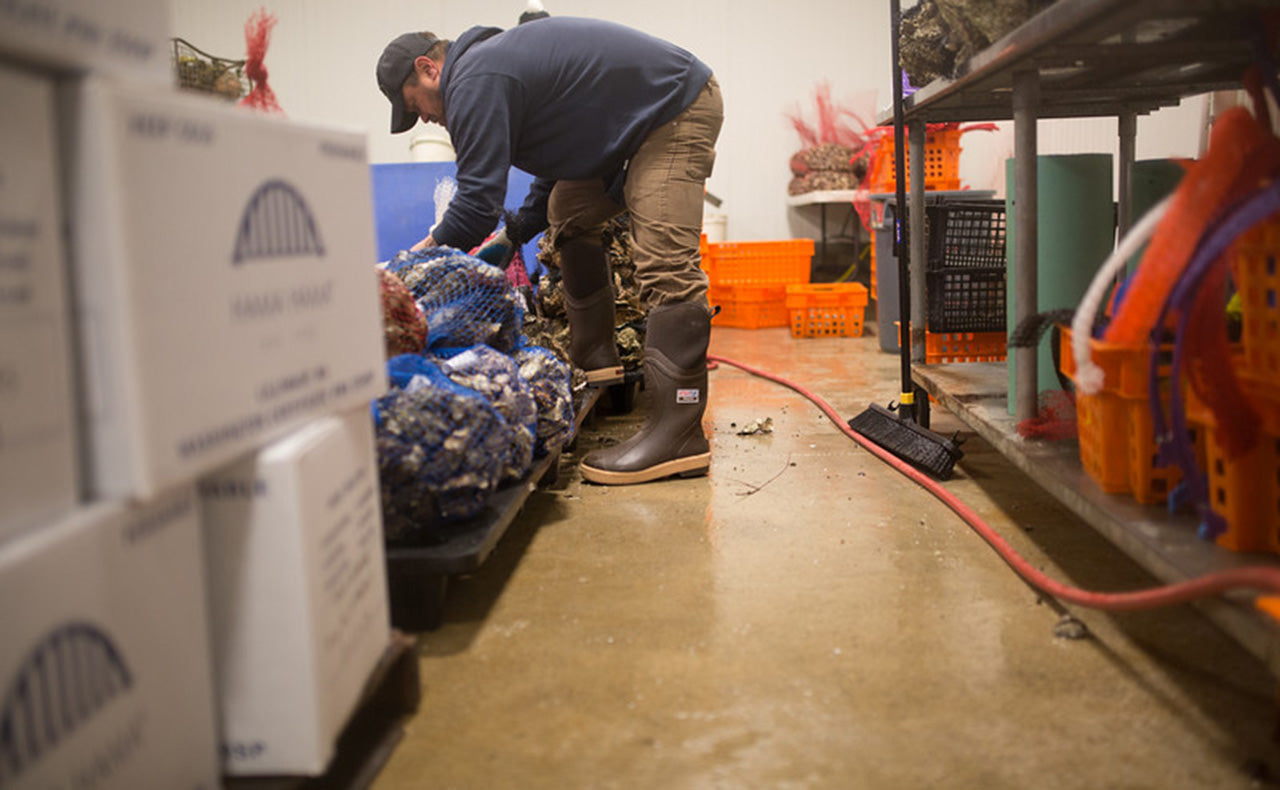 Boxing up oysters by Mark Dunn