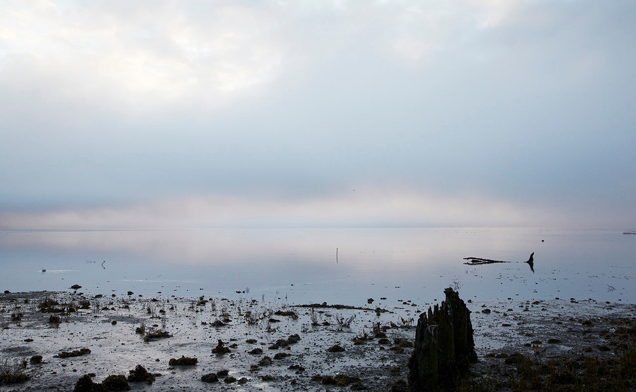 Hama Hama Farm by Jason Lowe